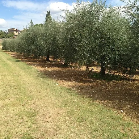 Apartment Albergaccio *