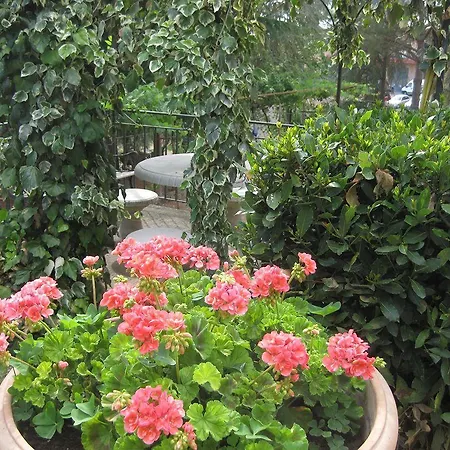 Albergaccio Apartment *