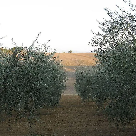 Albergaccio