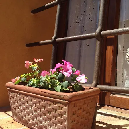 Albergaccio Apartment