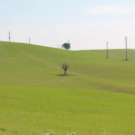 Διαμέρισμα Albergaccio *