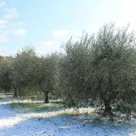 Διαμέρισμα Albergaccio *